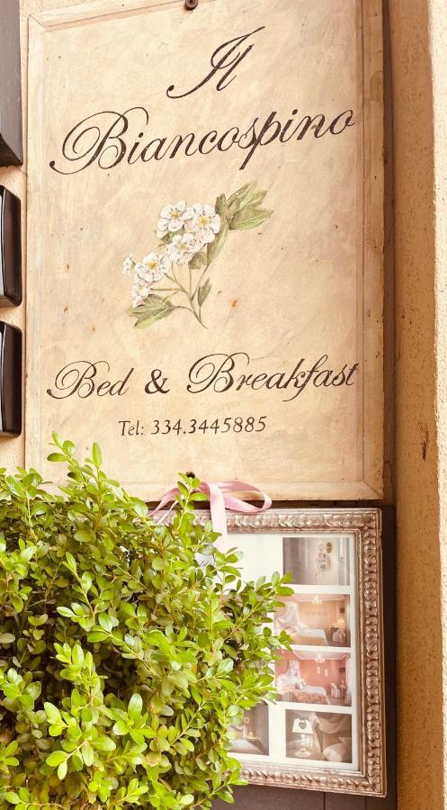 B&B Il Biancospino Аббадиа Сан Сальваторе Экстерьер фото