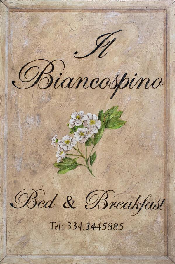 B&B Il Biancospino Аббадиа Сан Сальваторе Экстерьер фото